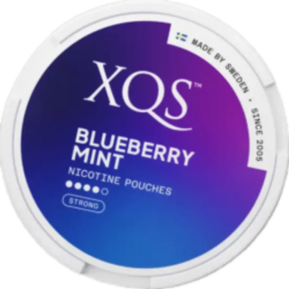 xqs-bluberry-mint-nicotine-pouches-16mg_snus_bar_gr
