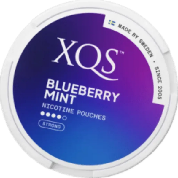 xqs-bluberry-mint-nicotine-pouches-16mg_snus_bar_gr